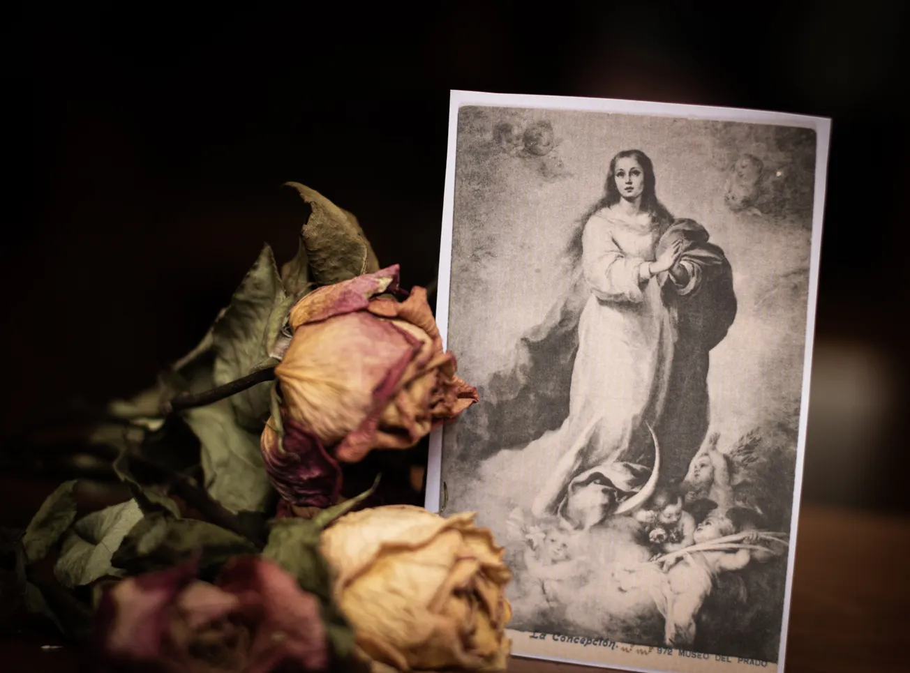 The Immaculate Conception and Virtue in Our Professional Lives